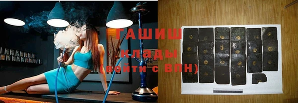 твердый Гусев