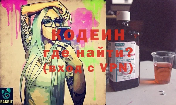 твердый Гусев